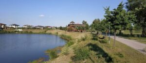 Вишеньки Золоче